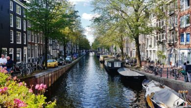 صورة تعرف على الدول التي يمكنها السفر إلى هولندا  بواسطة تأشيرة الحب