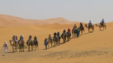 صورة ارتفاع عدد السياح الوافدين إلى المغرب من ضمنهم مغاربة العالم