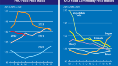 صورة أسعار الغذاء العالمية تنخفض إلى أدنى مستوياتها