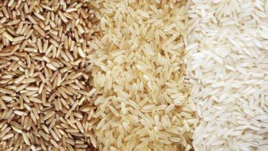 صورة ما سبب توقيف الإمارات تصدير وإعادة تصدير الأرز؟