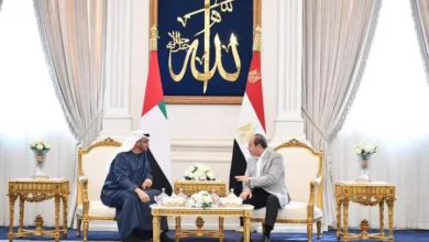 صورة الرئيسان الإماراتي والمصري يبحثان تطورات القضايا الإقليمية والدولية